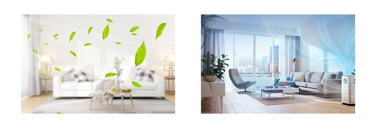 Air-purifying carbon