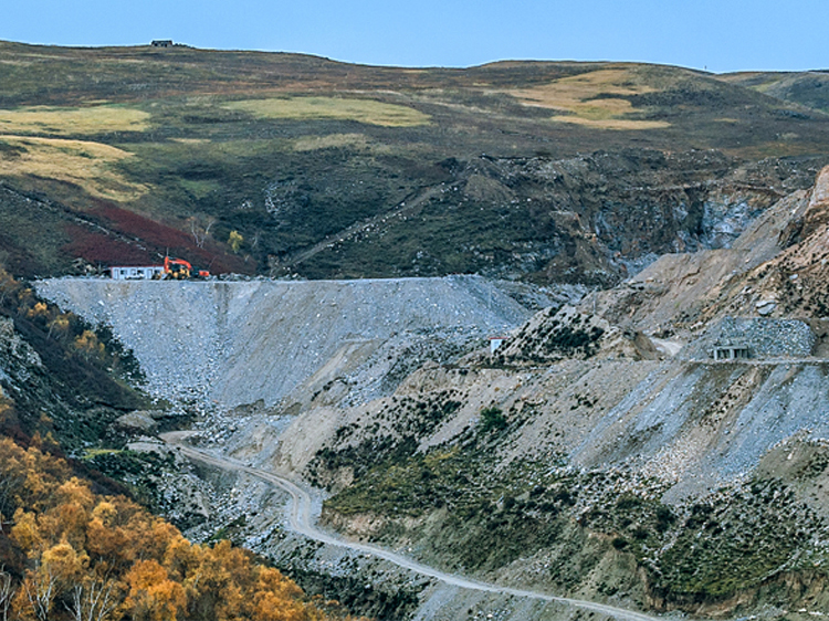 Mineral Screeing agentia Scaun de eliberare Metoda ales.